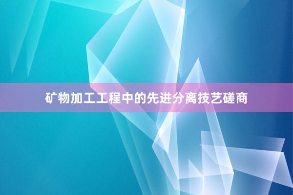 矿物加工工程中的先进分离技艺磋商